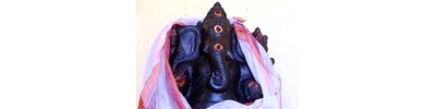 எட்டியலூர்